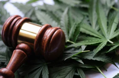 Congress Bans Delta 8 THC and THCA Under New Federal Hemp Rules Employer Drug Testing Guide 800x430
