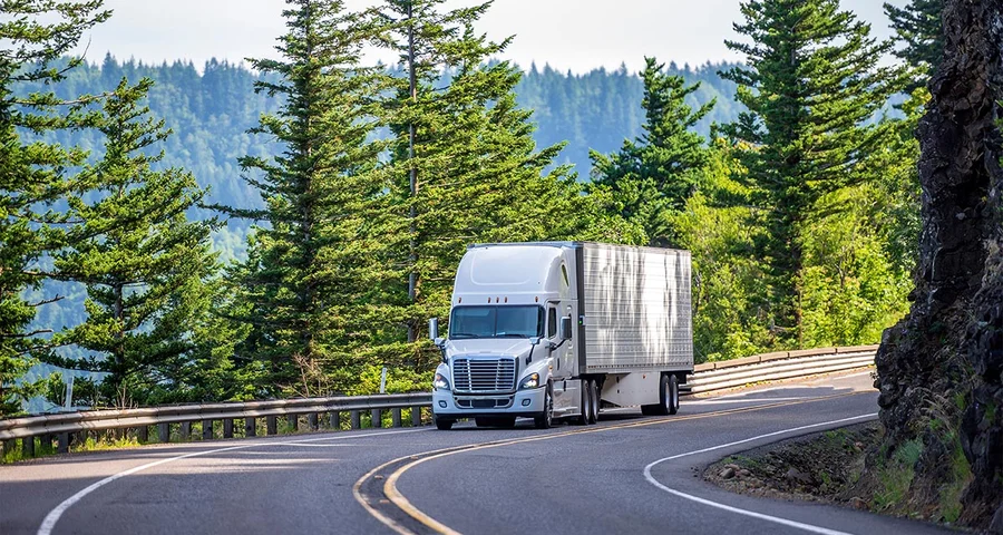 truck driving up a road by a forest