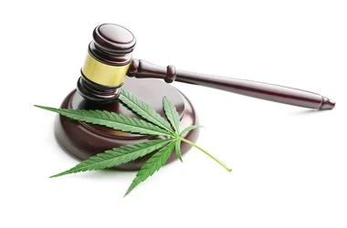 gavel with marijuana leaf