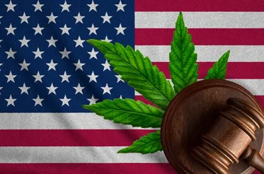 marijuana USA flag and gavel