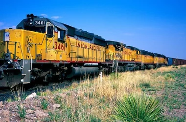 Train traveling through a field