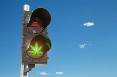 traffic light with marijuana leaf illuminated green