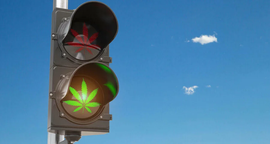 traffic light with marijuana leaf illuminated green