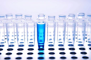 test tubes in a rack with blue liquid in one