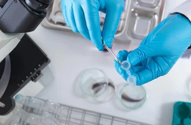 Gloved hands placing a hair into a test vial