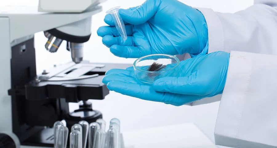 Lab tech testing hair for drugs
