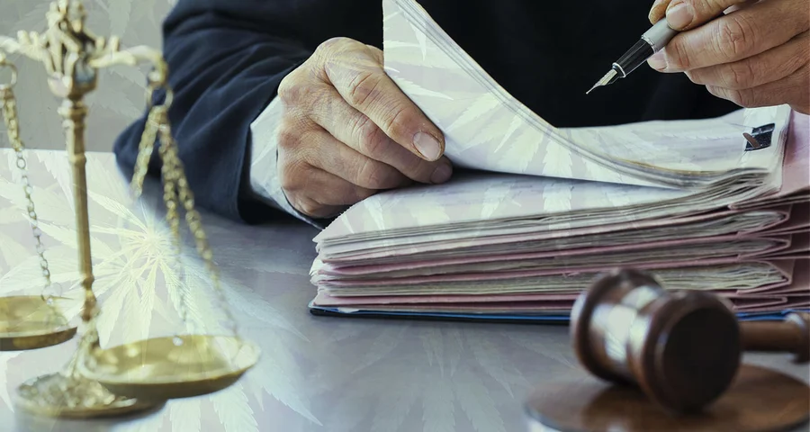 Judge writing with files and gavel marijuana leaves