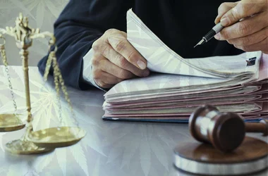 Judge writing with files and gavel with marijuana leaves