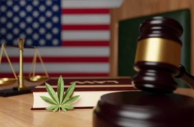 marijuana laws by state American flag