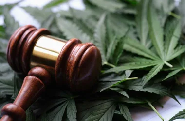 Gavel sitting on top of marijuana leaves