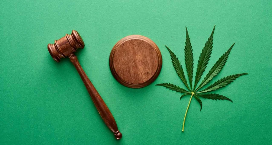 drug laws marijuana and gavel